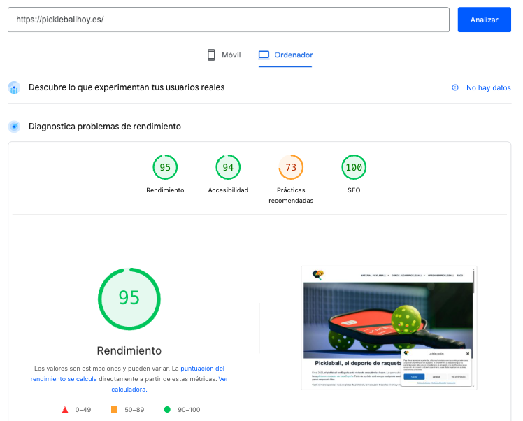 Resultado de PageSpeed Insights de la web bushidoseo