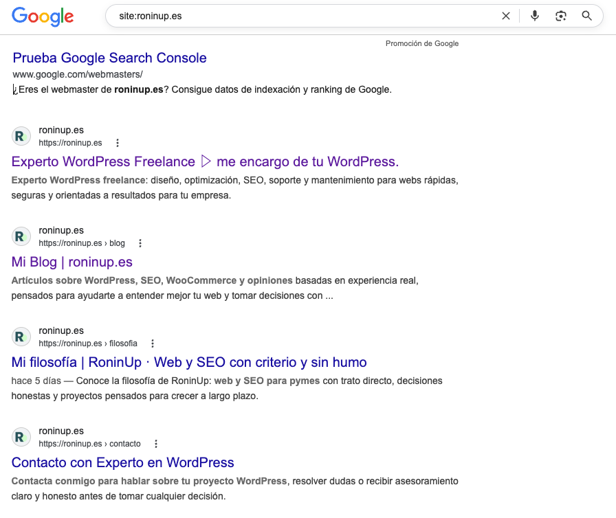 Resultados del comando site de una web